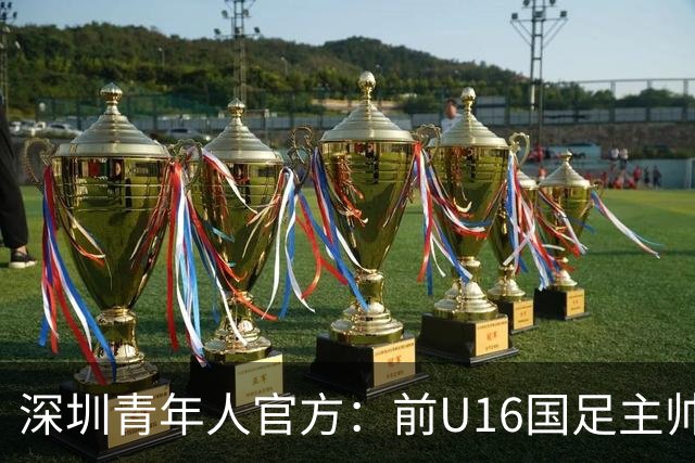 深圳青年人官方：前U16国足主帅大卫出任一线队第一助理教练